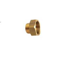 MAMELON REDUIT 246 MALE 3/4 FEMELLE 1 D05504B